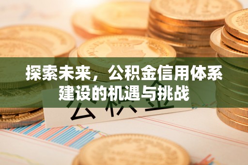 巴南探索未来，公积金信用体系建设的机遇与挑战
