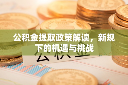 巴南公积金提取政策解读，新规下的机遇与挑战