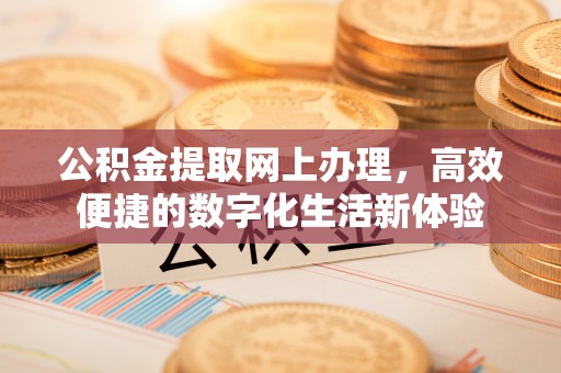 巴南公积金提取网上办理，高效便捷的数字化生活新体验