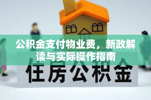 巴南公积金支付物业费，新政解读与实际操作指南
