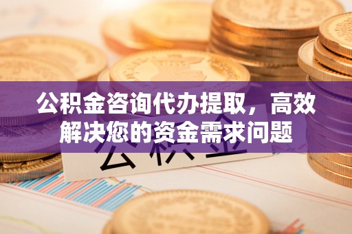 巴南公积金咨询代办提取，高效解决您的资金需求问题