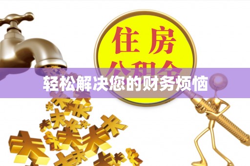 巴南轻松解决您的财务烦恼