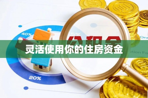 巴南灵活使用你的住房资金