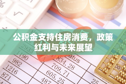 巴南公积金支持住房消费，政策红利与未来展望