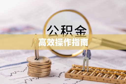 巴南高效操作指南