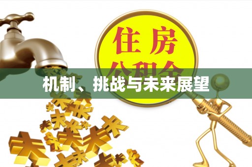 巴南机制、挑战与未来展望