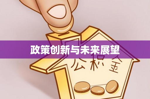 巴南政策创新与未来展望