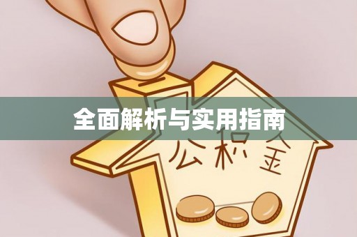 巴南全面解析与实用指南