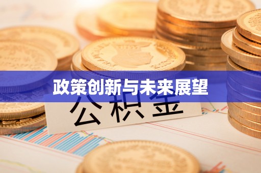 巴南政策创新与未来展望