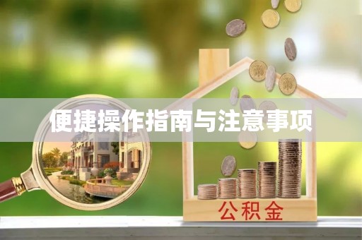 巴南便捷操作指南与注意事项